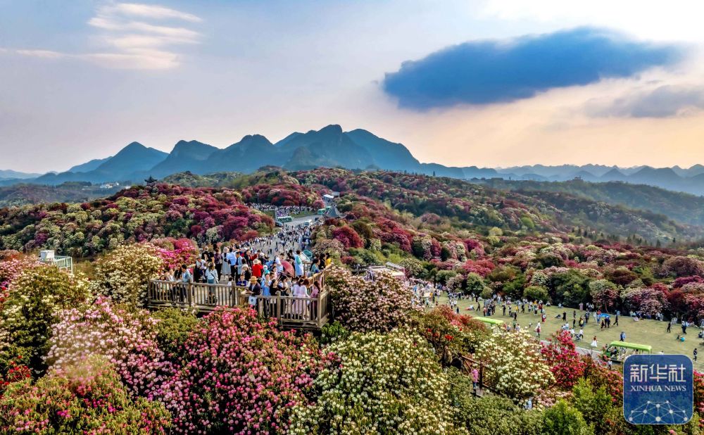 詩意中國丨春日上春山 一場與時光的溫柔邂逅