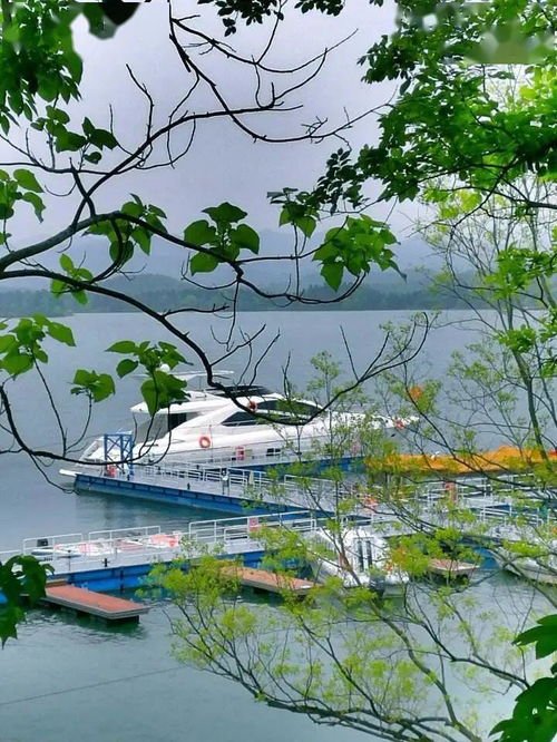 五一出游注意 安徽4A級及以上景區全部預約，旅行社服務網點規范招徠